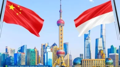 China Pembangunan Usaha Jumbo Rp156 Billion ke Indonesia, Lingkup Apa Saja?
