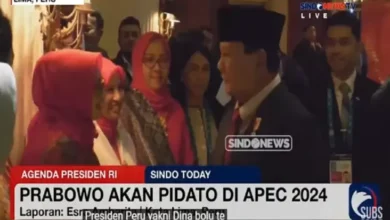 Di APEC ketua eksekutif Summit, Prabowo Tegaskan Bakal Lindungi Semua Penanaman Modal