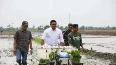 Dinobatkan sebagai Bapak Petani Milenial, Wamentan Yakin Bagian Pertanian Menjanjikan