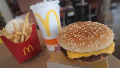 Simptom Infeksi Bakteri E. Coli pada Burger McD, Hal ini yang dimaksud mana Dialami Penderitanya