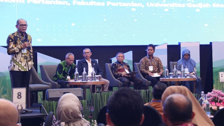 Intercropping Padi Gogo dalam tempat Lahan PSR Jadi Inovasi Indonesia Swasembada Beras
