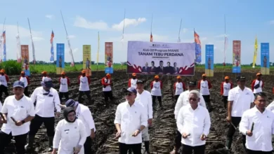 Jurus Memutus Kemandekan Produksi Gula