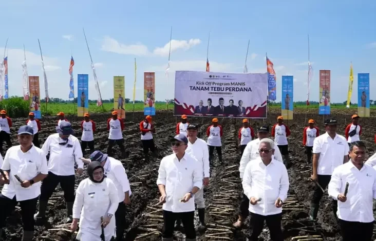 Jurus Memutus Kemandekan Produksi Gula