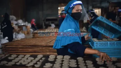 Kebijakan Penghapusan Kredit Macet Beri Napas Baru UMKM