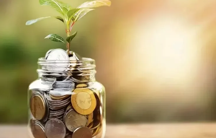 Memahami Frugal Living, Pelit atau Cerdas Mengelola Uang?