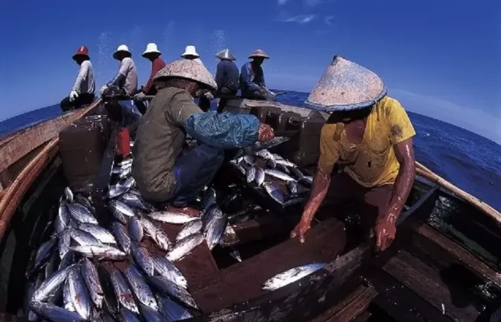 Pakar Sebut Budidaya Tuna Solusi untuk Atasi Kelangkaan