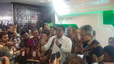 pemerintahan Tegaskan Support Terhadap Industri Sawit