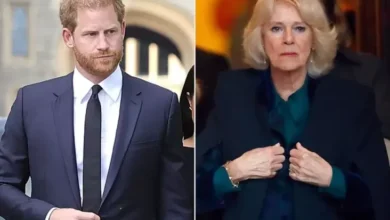 Sikap Pangeran Harry ke Raja Charles III Buat Ratu Camilla Marah Besar
