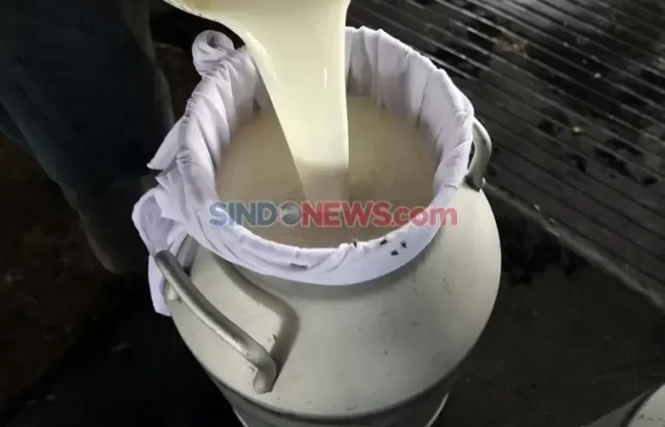 Soal Industri Wajib Serap Susu Lokal, Peternak Ingin Perpres Segera Diterbitkan