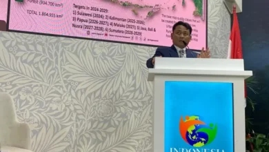 Targetkan Net Zero Emission, Indonesia Perkuat Sistem Fakta Geospasial