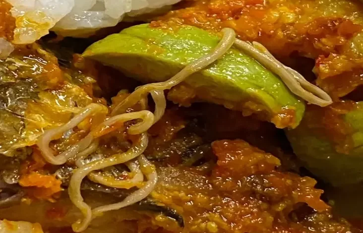 Viral! Cacing Ditemukan pada Masakan Ikan Tongkol, Bahayakah?