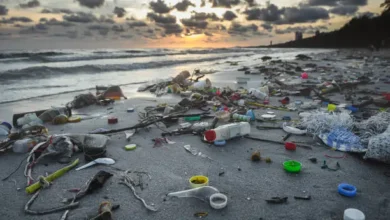 World Plastics Council dan juga Global Plastics Alliance Ajak Mengakhiri Zat Sangat Merugikan Plastik