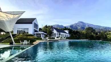10 Rekomendasi Spot Glamping Terbaik pada Bogor, Siap Menyambut Liburan Akhir Tahun!