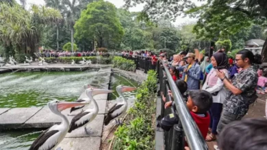 10 Tempat Wisata Murah di dalam pada Ibukota untuk Liburan Akhir Tahun, Nomor 2 Tiket Masuknya Gratis