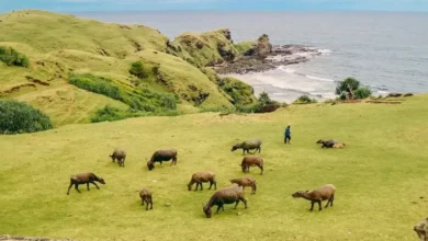 10 Wisata Alam Hidden Gem pada Lombok yang digunakan Wajib Dikunjungi pada waktu Liburan