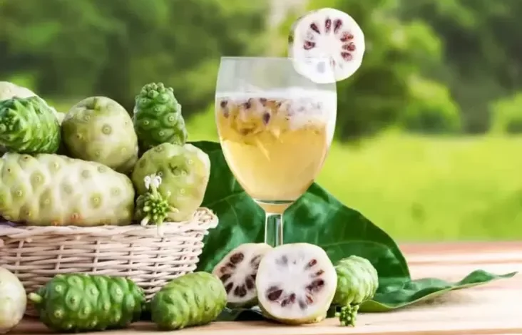 11 Manfaat Jus Mengkudu untuk Pengobatan Berbagai Penyakit