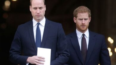 3 Perseteruan Keluarga Kerajaan Inggris Paling Terkenal, Konflik Pangeran William kemudian Harry Makin Panas