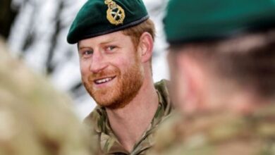 3 Prestasi Pangeran Harry pada Global Militer Inggris, Bunuh 25 Orang pada waktu Tugas di dalam tempat Afganistan