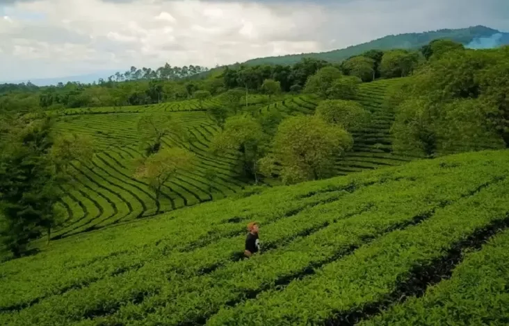 10 Rekomendasi Tempat Wisata Sejuk di dalam pada Malang, Pilihan Liburan Akhir Tahun Bersama Keluarga