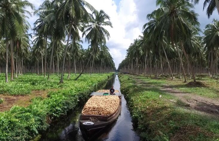 57 Tahun, Sambu Group Mengakar kemudian Tumbuh Bersama Industri Kelapa Terpadu