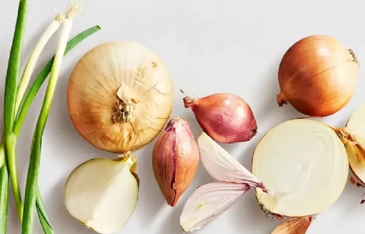 7 Manfaat Bawang Bombay yang mana dimaksud Jarang Diketahui, Salah Satunya Mengatur Kadar Gula Darah