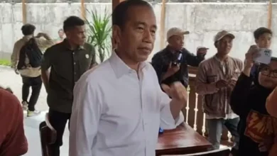 Didepak dari PDIP, Jokowi: Berarti Partainya Perorangan