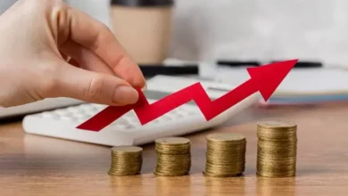 Industri Bisnis Indonesia Relatif Stabil dengan Inflasi Rendah, Penyesuaian PPN 12 Persen Sudah Tepat