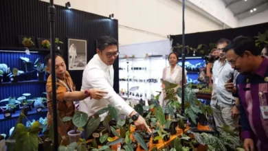 FLOII Expo 2024 Tingkatkan Kerjasama Industri Tanaman Hias Global