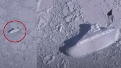 Google Earth Temukan Kapal Es Misterius di Antartika