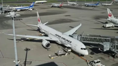 Hacker Jahil Berulah, Maskapai Japan Airlines Jadi Korban: Sistem Lumpuh, Penerbangan Ditunda