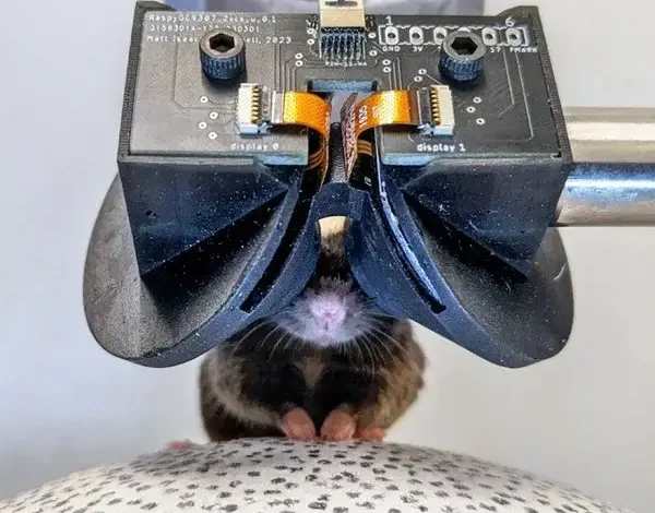 Headset VR untuk Tikus Diciptakan, Hal ini Tujuannya