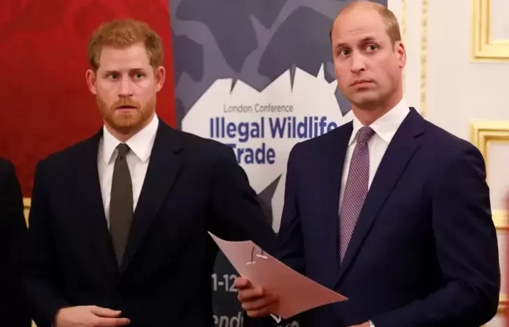 Hubungan Tegang Pangeran William lalu juga Harry Mulai Mencair