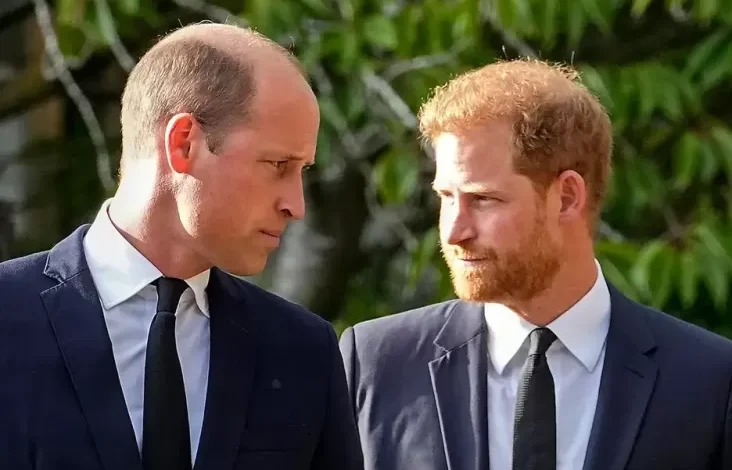 Ini adalah adalah Anggota Keluarga Kerajaan yang tersebut digunakan Bisa Akhiri Perseteruan Pangeran William lalu Harry