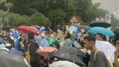 Kpopers Ikut Demo Tolak PPN 12% pada Depan Istana Meski Diguyur Hujan, Bawa Lightstick juga Nyanyi Lagu SNSD