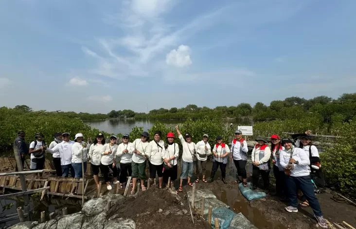 Kurangi Emisi Karbon, PIS Tanam 10.000 Mangrove