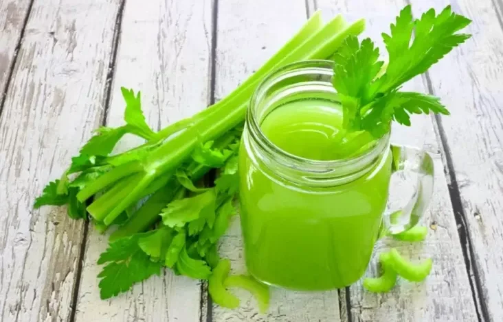 Manfaat Jus Seledri apabila Diminum Dini Hari Hari pada waktu Perut Kosong, Miliki Sifat Anti-diabetes
