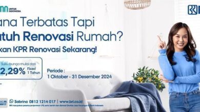 Manfaatkan KPR BRI untuk Renovasi Efisien Rumah Idaman