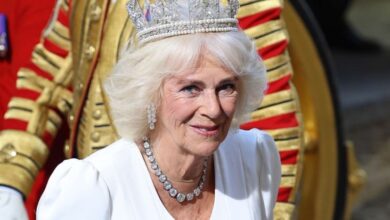 Mengenal Penyakit Infeksi Dada yang dimaksud mana Diderita Ratu Camilla Permaisuri Kerajaan Inggris