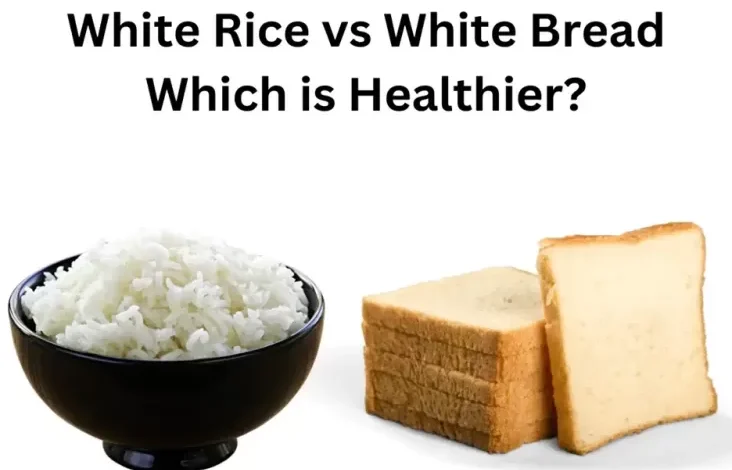 Nasi vs Roti, Mana yang digunakan Lebih Optimal untuk Dikonsumsi?