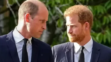 Pangeran Harry Hapus Jejak William pada pada Film Dokumenter, Memperburuk Permasalahan Keluarga Kerajaan