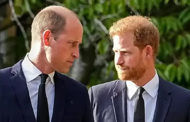 Pangeran Harry Hapus Jejak William pada pada Film Dokumenter, Memperburuk Permasalahan Keluarga Kerajaan