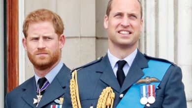 Pangeran William Duga Harry Dicuci Otak, Akui Tak Mengenalinya Lagi