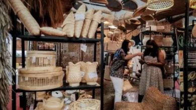 Pemanfaatan EBT Baru 14%, Kadin Dorong Transisi UMKM ke Tenaga Bersih
