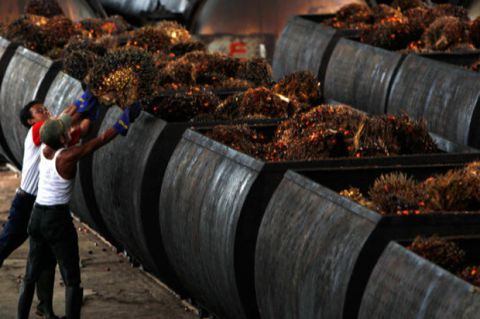 Pemanfaatan Land Application Tingkatkan Daya Saing Sawit Nasional