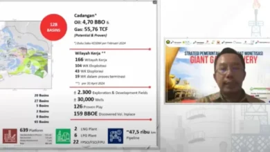 Perkuat Ketahanan Energi, eksekutif Percepat Monetisasi Lapangan Gas
