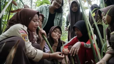 Pertamina Kembangkan Puluhan Inovasi Sosial lewat Rencana PFmuda