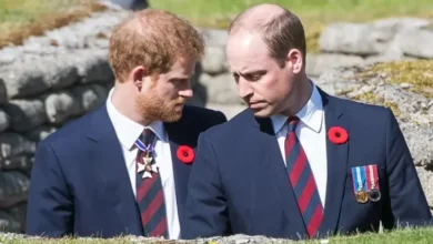 Sikap Pangeran William ke Harry Semakin Keras, Sudah Sangat Benci