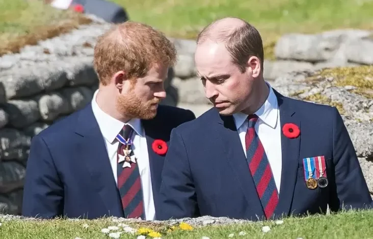 Sikap Pangeran William ke Harry Semakin Keras, Sudah Sangat Benci