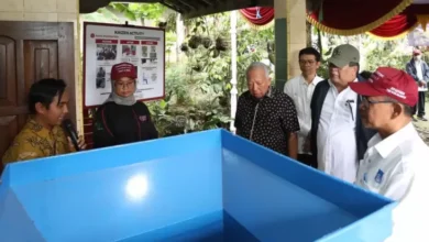 UMKM Kopi Wonosalam Berhasil Go International, Rahasianya Ada pada Sistem Toyota?