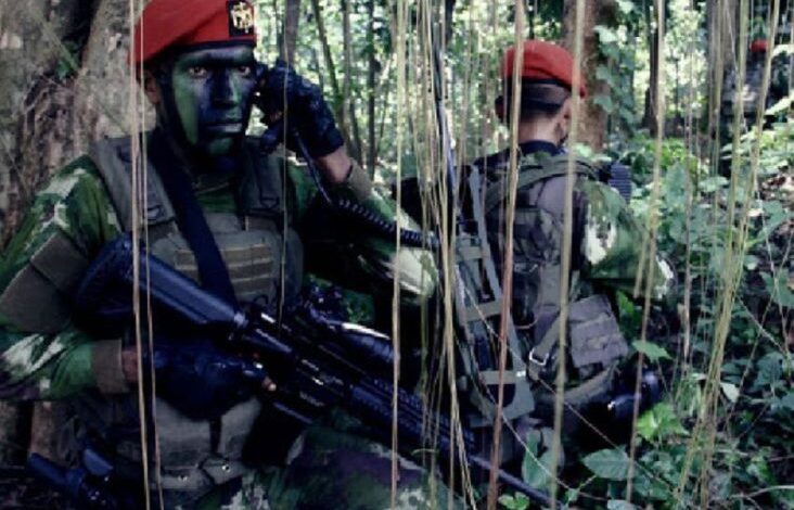 5 Risiko Jadi Anggota Kopassus, Hanya untuk Prajurit yang dimaksud dimaksud Bermental Baja